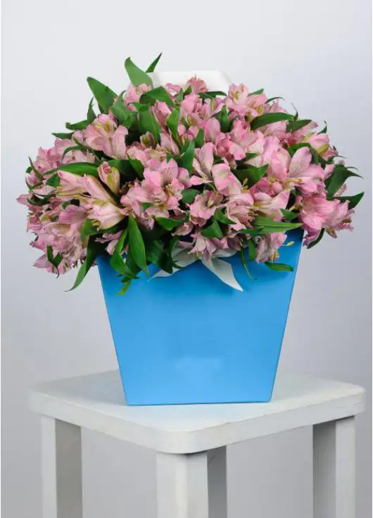 Alstroemeria in a handbag