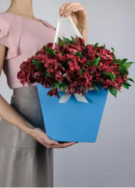 Alstroemeria in a handbag