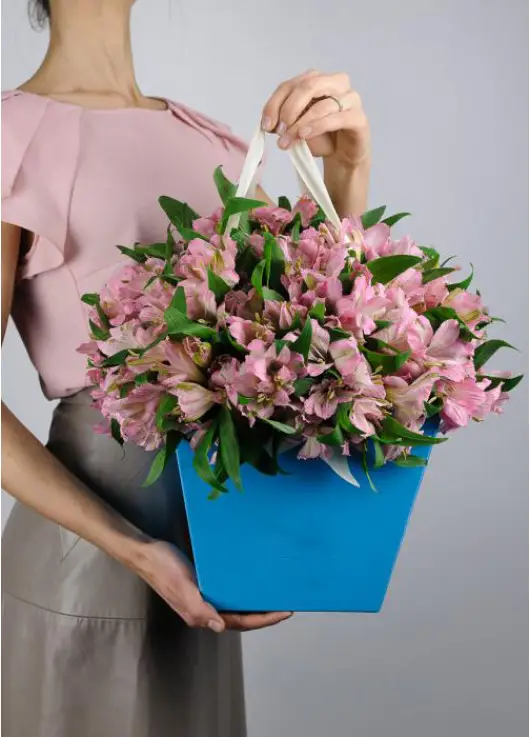 Alstroemeria in a handbag Alstroemeria in a handbag