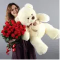 Teddy bear