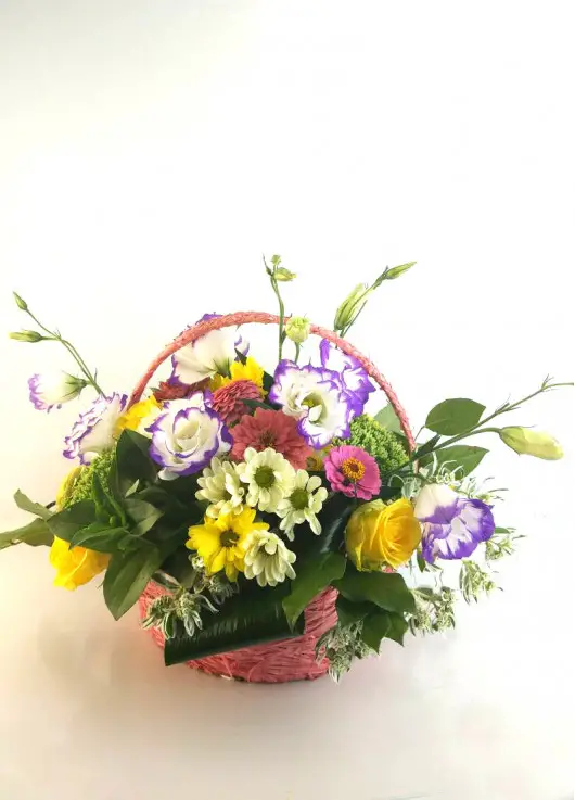 Season basket