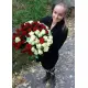 Yin-yang basket rose 51