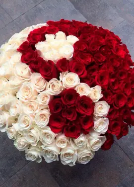 Yin-yang basket rose 51