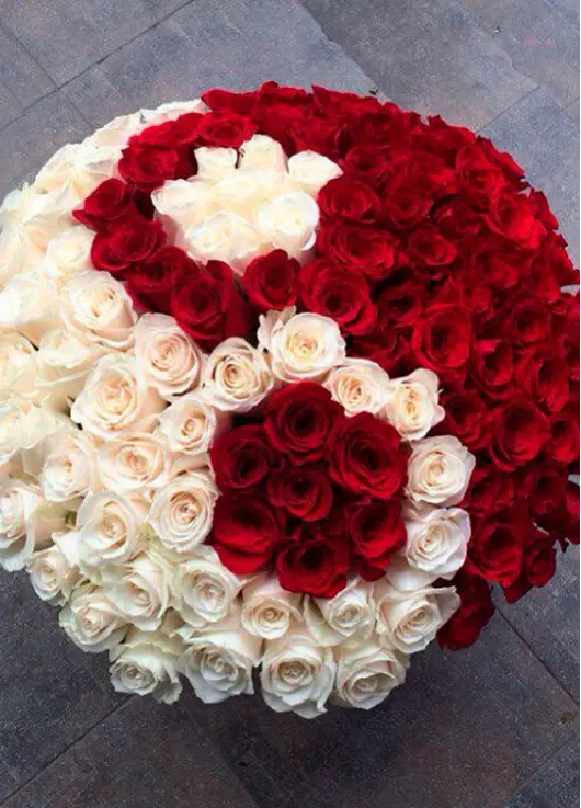 Yin-yang basket rose 51