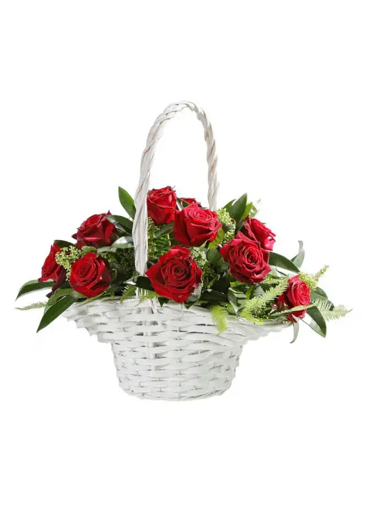 Red and white roses in a basket Red and white roses in a basket