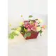 Season basket