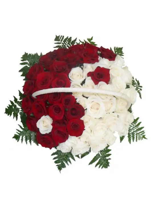 Yin-yang basket rose 51