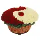 Yin-yang basket rose 51