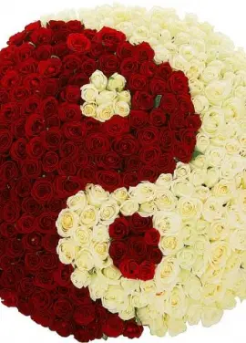 Yin-yang basket rose 51