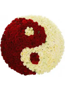 Yin-yang basket rose 51