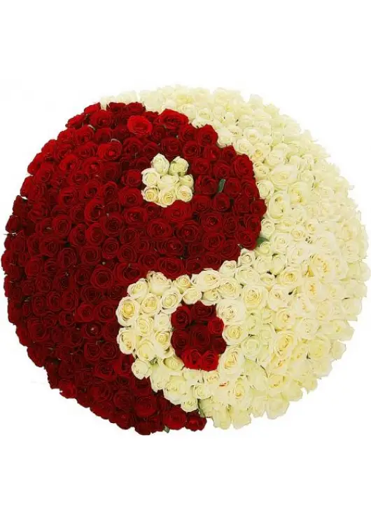 Yin-yang basket rose 51