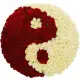 Yin-yang basket rose 51