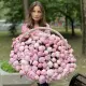 Lux basket 201 peony!