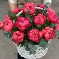 Peonies in a basket