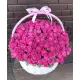 Basket of peony rose Bubbles in Dnieper Basket of peony rose Bubbles in Dnieper
