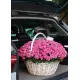 Basket of peony rose Bubbles in Dnieper Basket of peony rose Bubbles in Dnieper