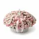 Cream Spray Rose “Madam Bombastic” in Wicker Basket (75 stems)