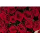 51 red roses in a basket Surprise 
