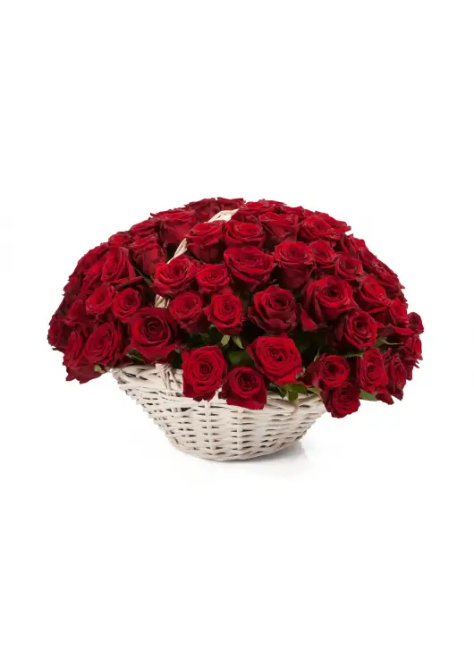 Red and white roses in a basket Red and white roses in a basket