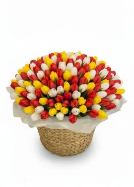 201 mixed tulips in a luxury wicker basket