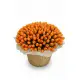 201 orange tulips in a luxury wicker basket
