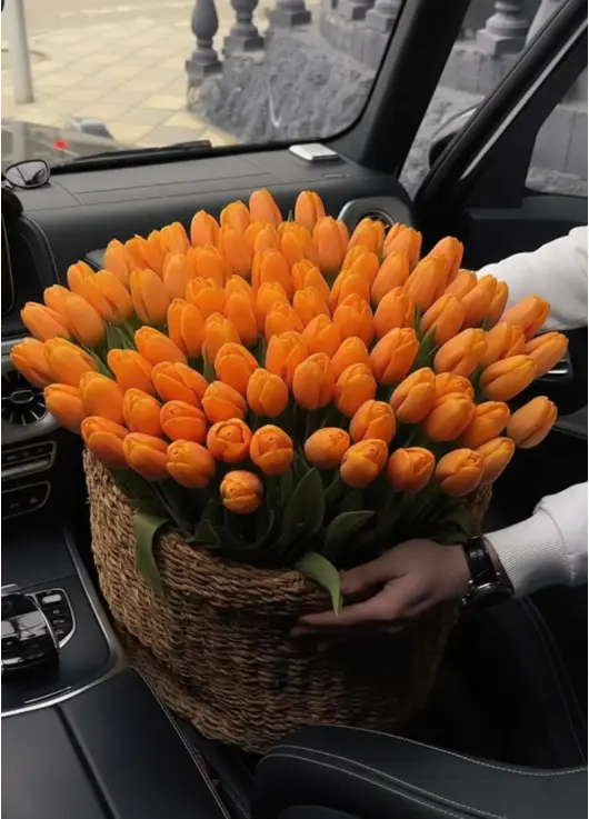 201 orange tulips in a luxury wicker basket