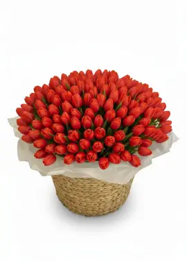 201 red tulips in a luxury wicker basket
