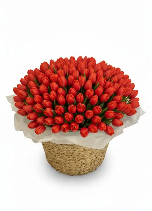 201 red tulips in a luxury wicker basket