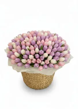 201 soft tulips in a luxury wicker basket