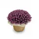 201 purple tulips in a luxury wicker basket