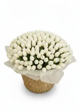 201 white tulips in a luxury wicker basket