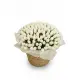 201 white tulips in a luxury wicker basket