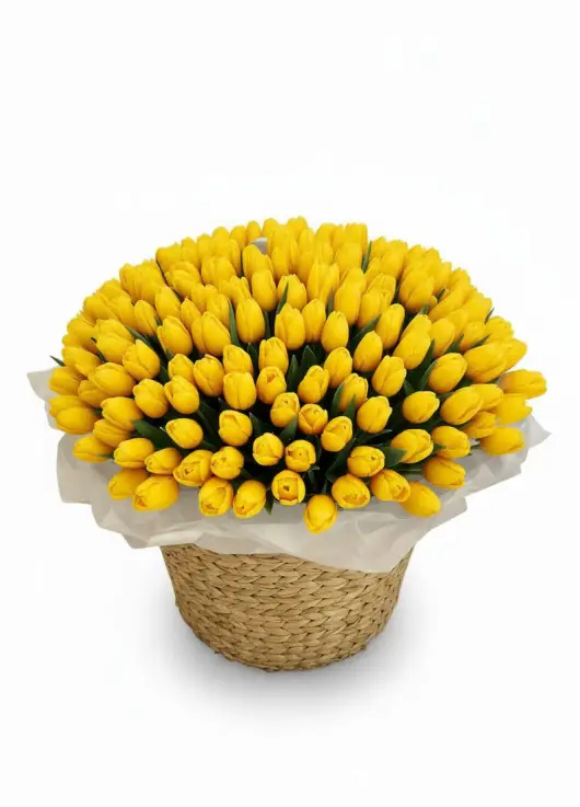 201 yellow tulips in a luxury wicker basket