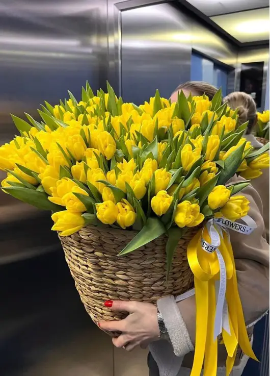 201 yellow tulips in a luxury wicker basket