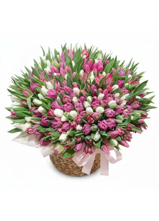 333 soft mix tulips in a premium wicker basket