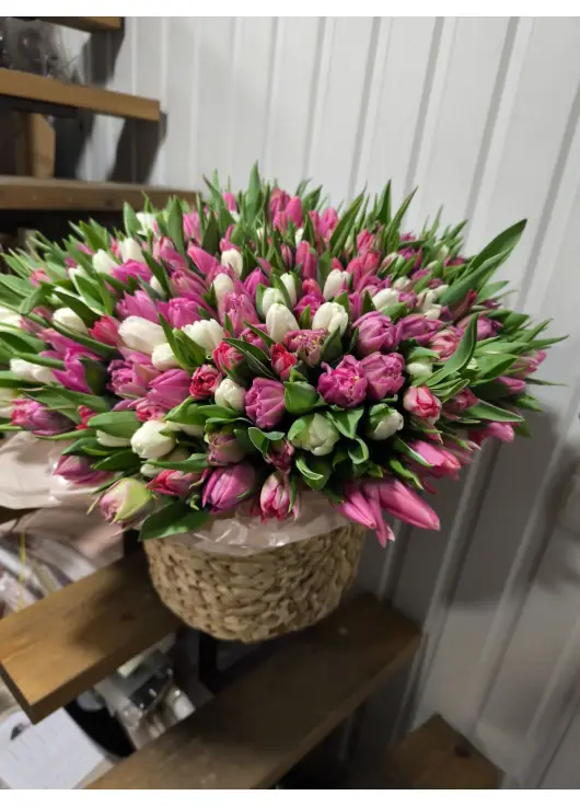 333 soft mix tulips in a premium wicker basket