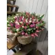 333 soft mix tulips in a premium wicker basket
