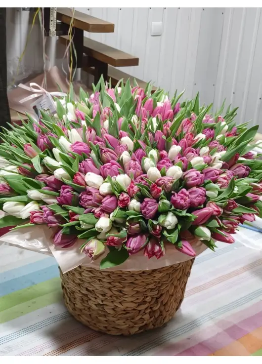 333 soft mix tulips in a premium wicker basket