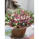 333 soft mix tulips in a premium wicker basket