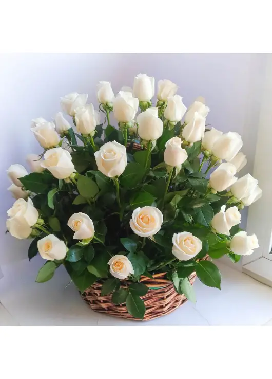 White roses in a basket