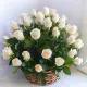 White roses in a basket