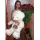 19 roses + big bear 19 roses + big bear