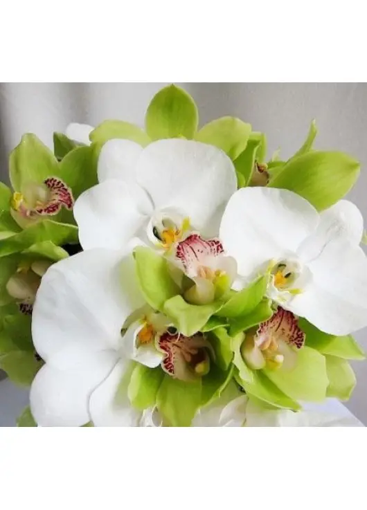 Bridal bouquet Sandra