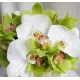 Bridal bouquet Sandra