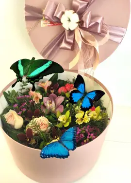 Flowers and butterfly box