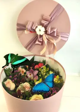 Flowers and butterfly box