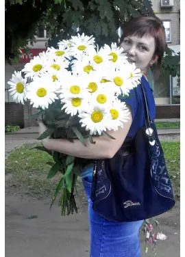 Bouquet of camomiles