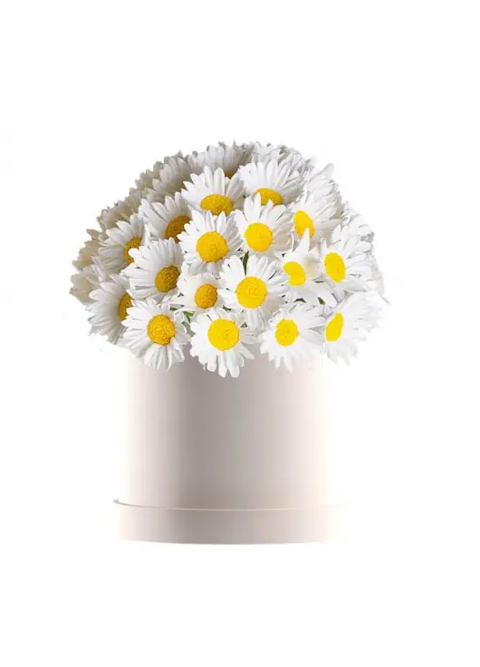 Bouquet of camomiles