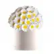 Bouquet of camomiles