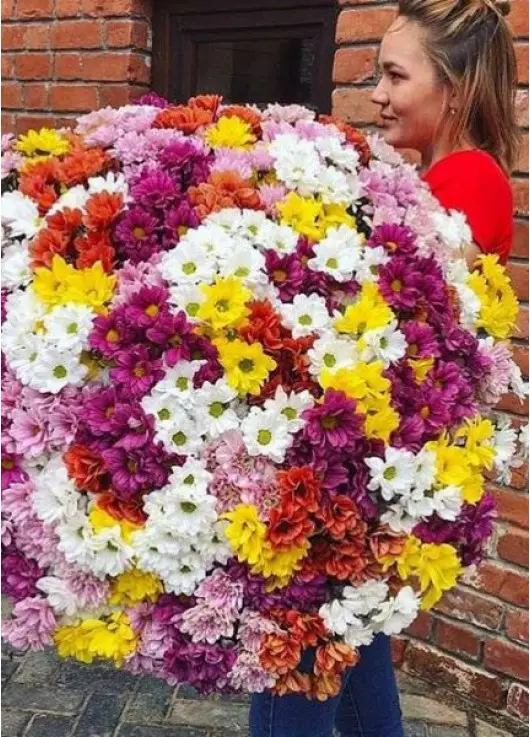 Chrysantemum
